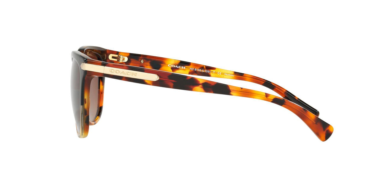 5438T5 - Havana - Brown Gradient Polar