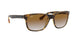 710/51 - Havana - Crystal Brown Gradient