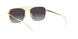 Ray-Ban 3588 Sunglasses