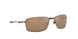 407506 - Gunmetal - Tungsten Iridium Polarized