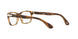 1085 - Brown