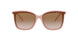 335013 - Light Brown Gradient