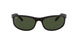 W1847 - Black - Crystal Green