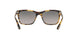 1056M3 - Havana - Grey Gradient Dark Grey Polar