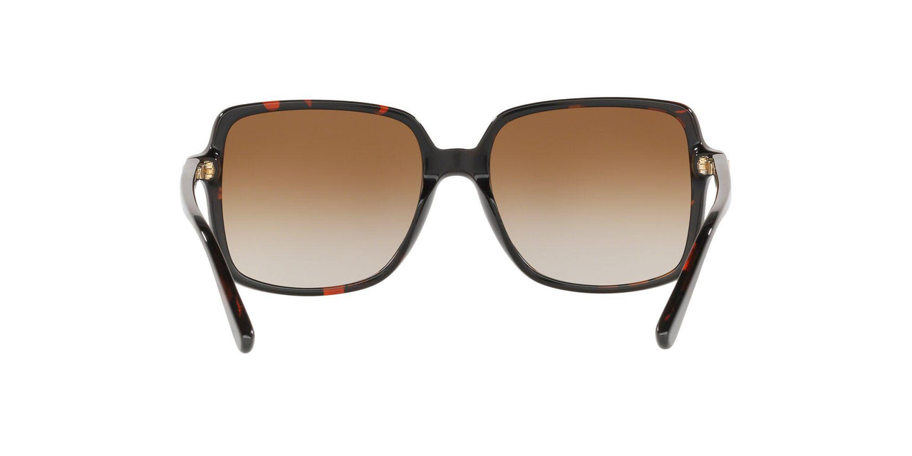 3781T5 - Havana - Grey Brown Gradient Polar