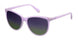 Polaroid Core Pld4066 Sunglasses