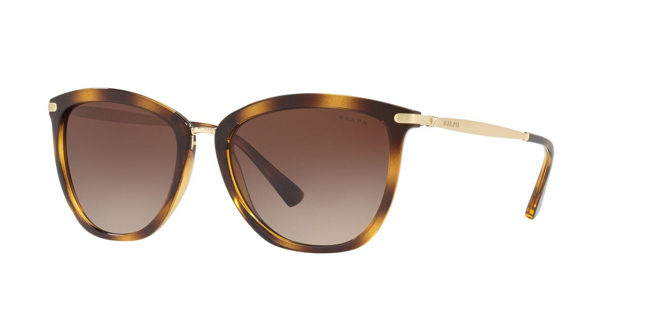 500313 - Gradient Brown