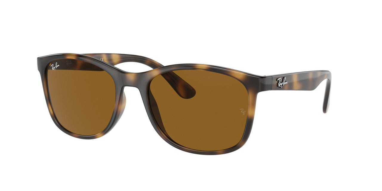 Ray-Ban 4374F Sunglasses