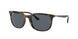 Ray-Ban 4386F Sunglasses