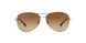 114513 - Gold - Brown Gradient