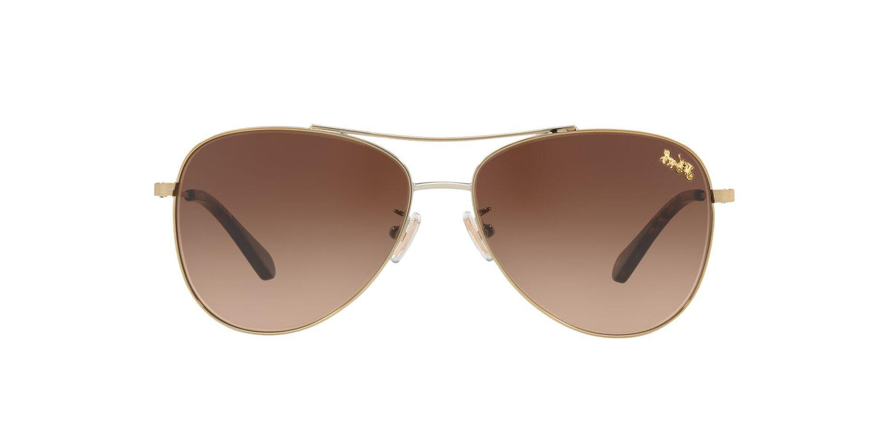 932213 - Light Gold - Brown Gradient