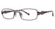 MaxStudio.com MS106M Eyeglasses