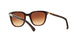 137813 - Havana - Brown Gradient