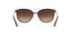 934S13 - Brown - Brown Gradient