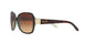 601/13 - Havana - Brown Gradient