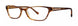 Vera Wang V340 Eyeglasses