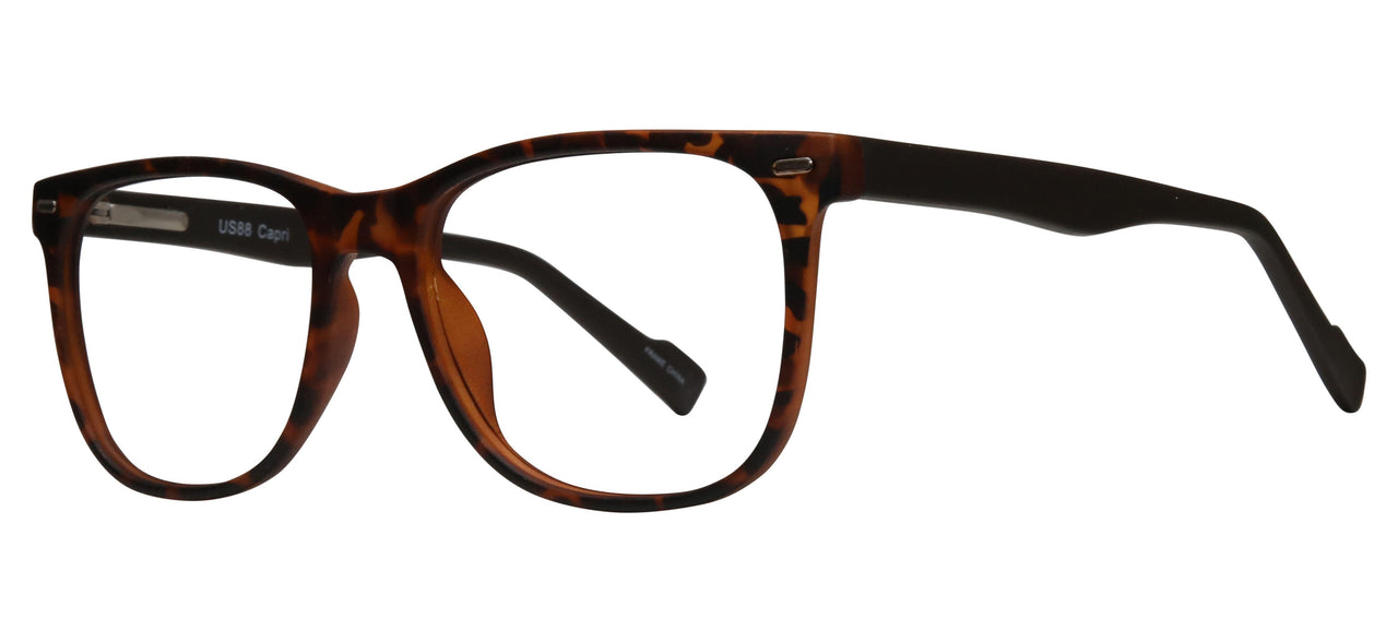 Tortoise - Tortoise/brown