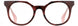STATE Optical Co. MAGNOLIA Eyeglasses