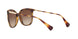 500313 - Havana - Gradient Brown