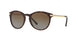 3106T5 - Havana - Brown Gradient Polarized