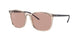 Ray-Ban 4387 Sunglasses