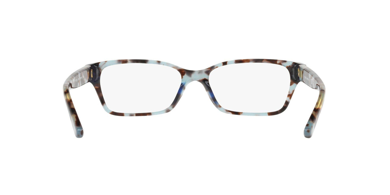1692 - Blue Tortoise