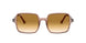 128151 - Light Brown - Gradient Brown