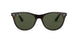 902/31 - Havana - Green