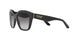 30018G - Black - Gray Gradient