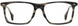 STATE Optical Co. HARLEM Eyeglasses
