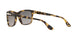 1056M3 - Havana - Grey Gradient Dark Grey Polar