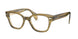 Ray-Ban 0880 Eyeglasses