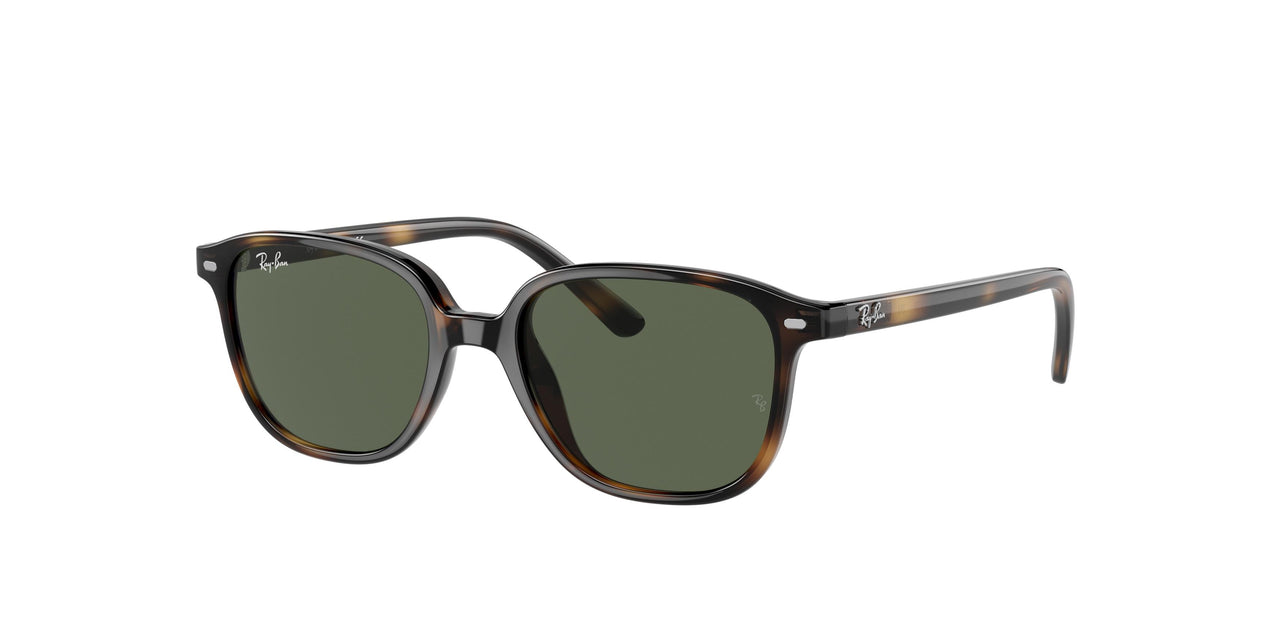 Ray-Ban Kids Leonard Jr 0RJ9093S Sunglasses