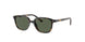 Ray-Ban Kids Leonard Jr 0RJ9093S Sunglasses