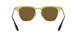 043/73 - Gold - Dark Brown