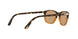 108653 - Havana - Brown
