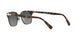 107171 - Light Brown - Gradient Grey