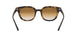 710/51 - Havana - Clear Gradient Brown