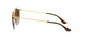 900913 - Brown - Brown Gradient Dark Brown
