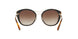 300213 - Havana - Brown Gradient