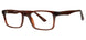 Brown - Brown