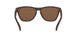 9013C5 - Matte Tortoise - Prizm Tungsten