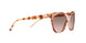379111 - Pink - Pink Peach Gradient