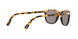 1088R5 - Havana - Grey
