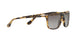 1056M3 - Havana - Grey Gradient Dark Grey Polar