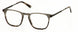 Perry Ellis 1269 Eyeglasses