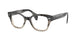Ray-Ban 0880 Eyeglasses