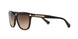 529113 - Havana - Dark Brown Gradient