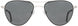 1 - Black Silver - True-Color Gray
