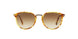 106151 - Havana - Clear Gradient Brown